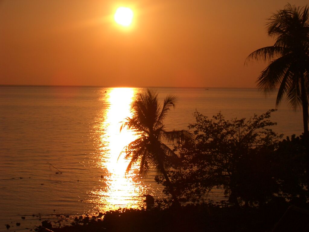 Click to See Next Image